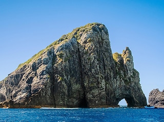 Auckland (3N) Post Tour Holiday-Hobbiton Movie Set & Bay of Islands Tour Tour