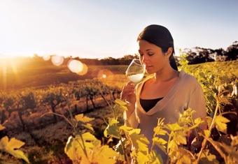 Australia New Zealand Customized Holidays Tour Highlights