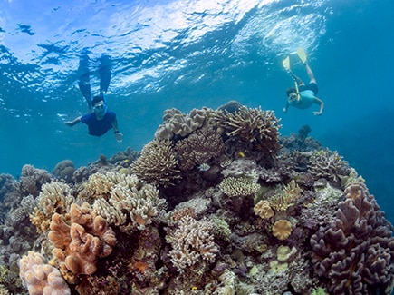 Gold Coast & Cairns with Great Barrier Reef Tour