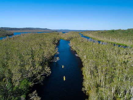 Brisbane to Sunshine Coast - Self Drive Tour