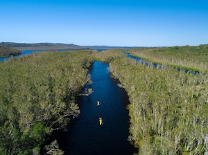 Brisbane to Sunshine Coast - Self Drive Tour