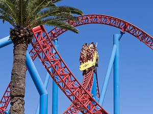 Gold Coast City Break Tour