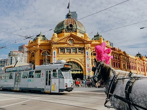 Highlights of Australia Tour