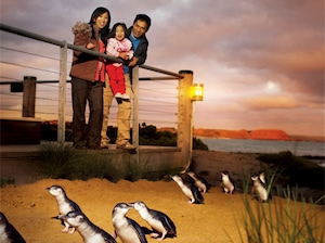 Melbourne City Break Tour