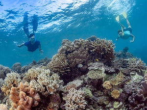 Cairns City Break Tour