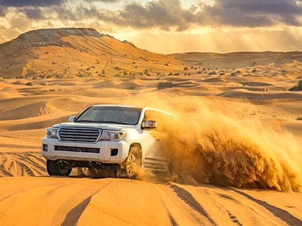 Dubai Air inclusive Ex-Pune Tour