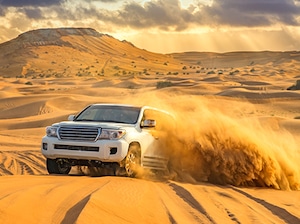 Dubai Air inclusive Ex-Pune Tour