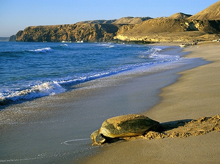 All of Oman Tour