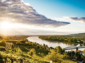 Vienna (2N) Post Tour Holiday Danube Valley Day Trip Tour