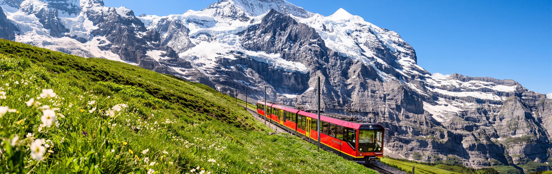 veena world switzerland group tours