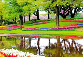 Europe Customized Holidays Tour Highlights