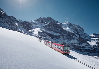 Europe Customized Holidays Tour Highlights