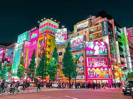 Tokyo (2N) Post Tour Holiday- Anime Special Tour