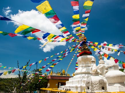 Nepal Chitwan Pokhara Tour