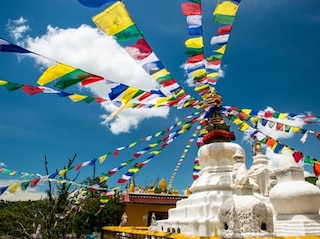Nepal Chitwan Pokhara Tour