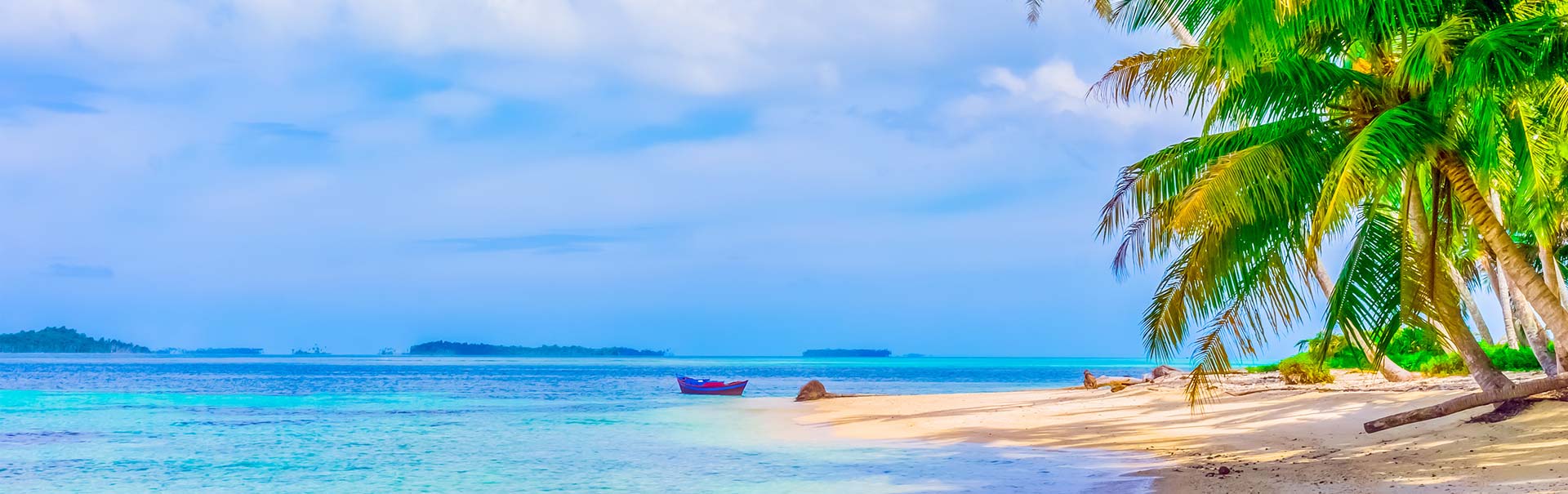 PHIB1_banner