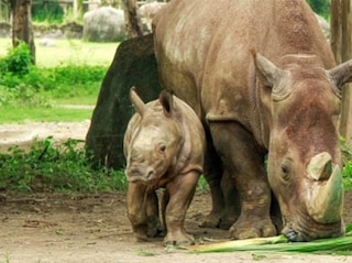 Bali Family Fun Tour