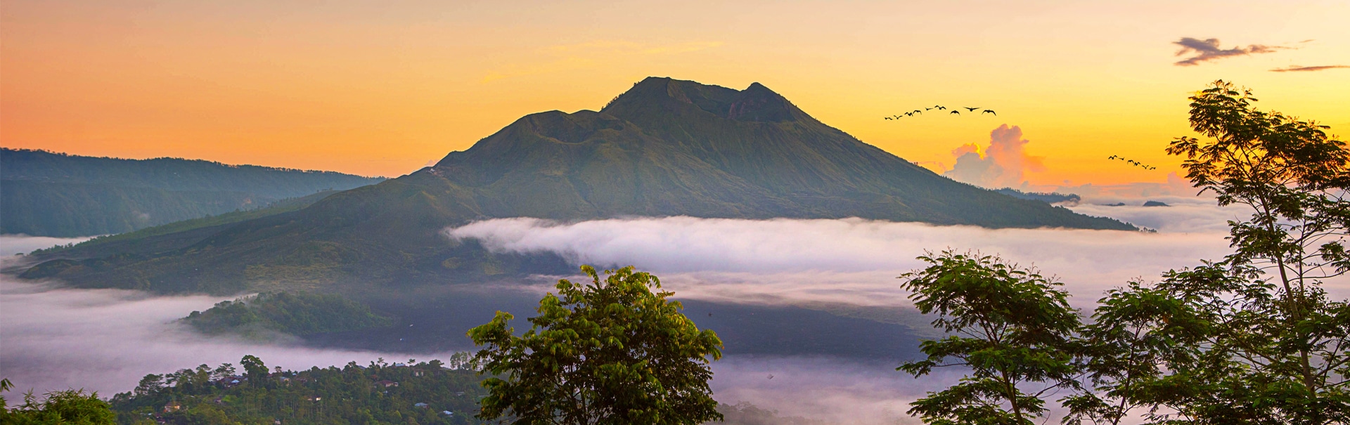 bali tour veena world