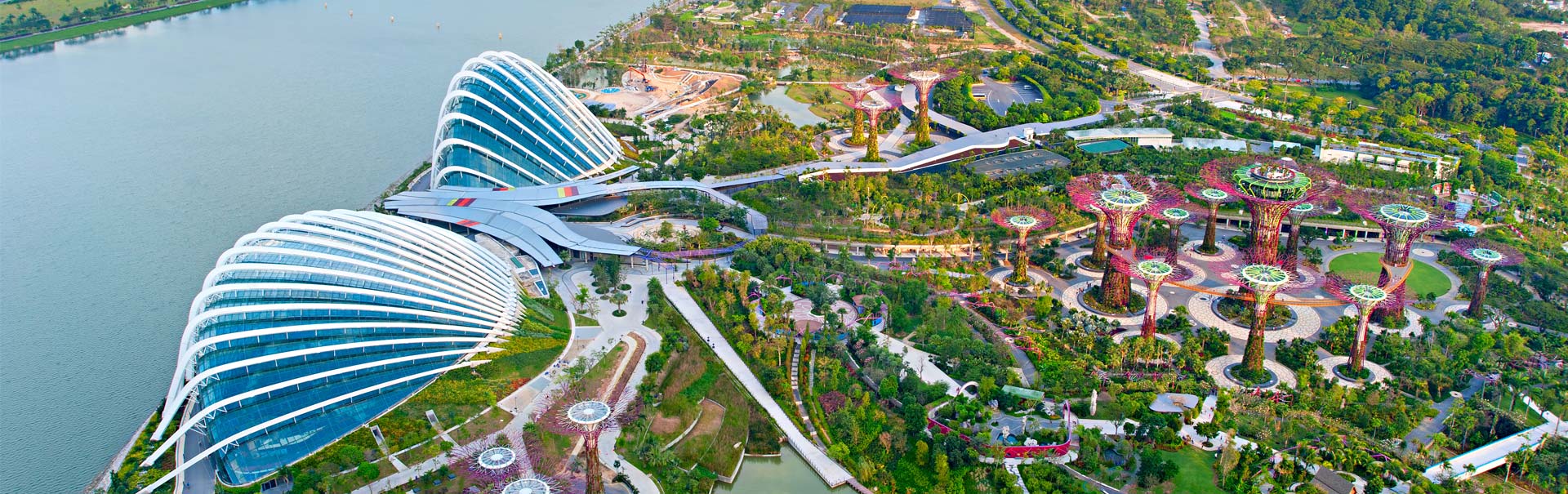 Singapore Family Fun (SHSG3) Banner