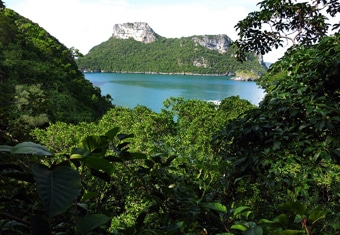 South East Asia Customized Holidays Tour Highlights