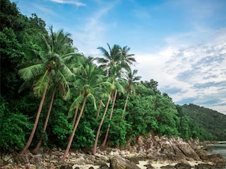 Koh Samui Escape Tour