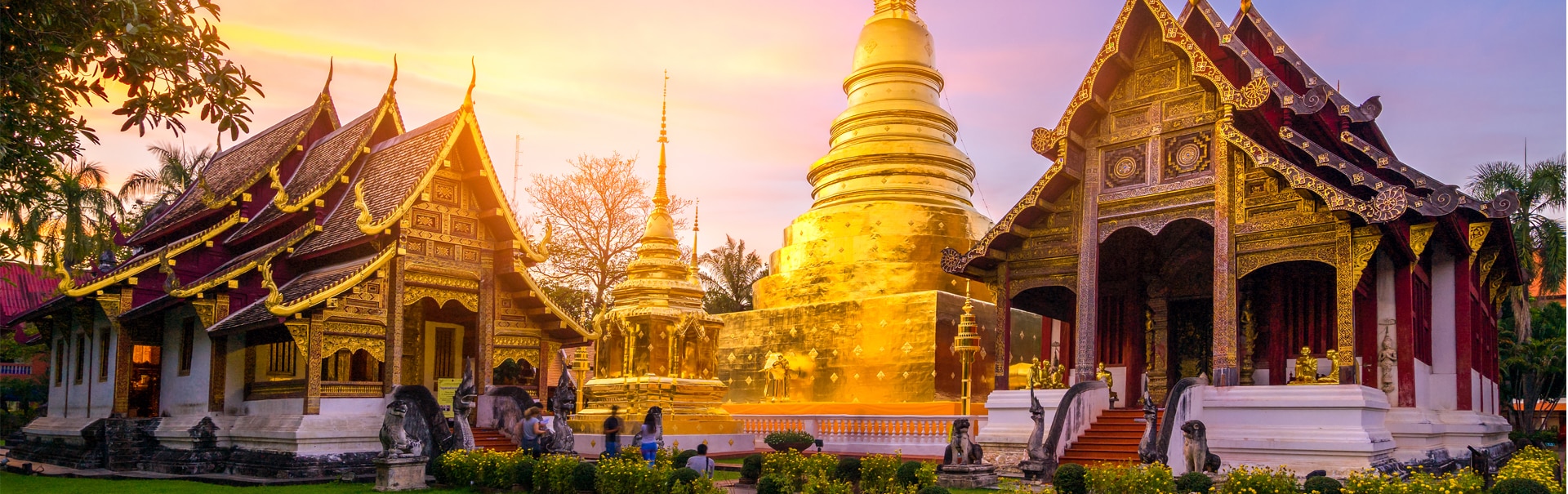 7 Days 6 Nights Chiang Mai Chiang Rai with Bangkok Customized