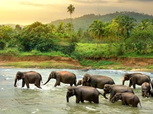 Sri Lanka - Sacred Sites to Sandy Shores Tour