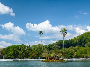 Sri Lanka Escape Tour