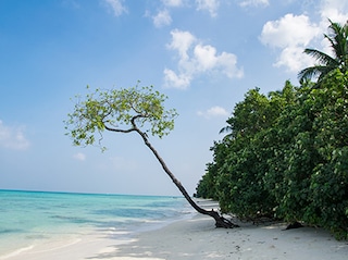 YOLO Outdoors Andaman Tour