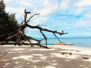 Seniors' Special Andaman Tour