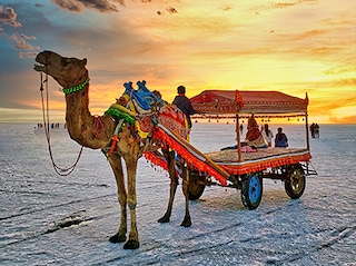 Rann Utsav Gujarat with Nadabet Tour
