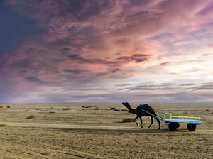 Rann Utsav Gujarat Tour