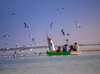 Gujarat Sanctuaries and Safaris Tour