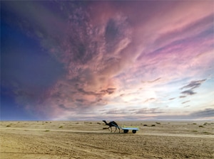 Women's Special Rann Utsav with Nadabet Tour