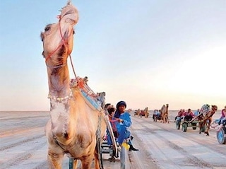 Women's Special Rann Utsav Gujarat Tour