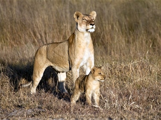 Women's Special Gujarat with Statue of Unity Tour