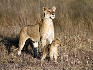 Women's Special Gujarat with Statue of Unity Tour