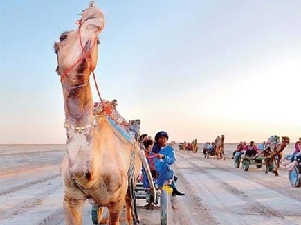 Gujarat Short Trips Travel Highlights