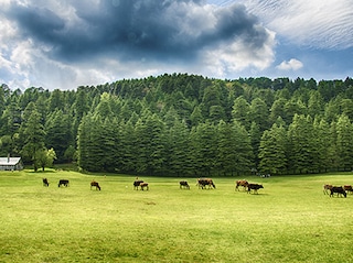 All of Himachal Pradesh Tour