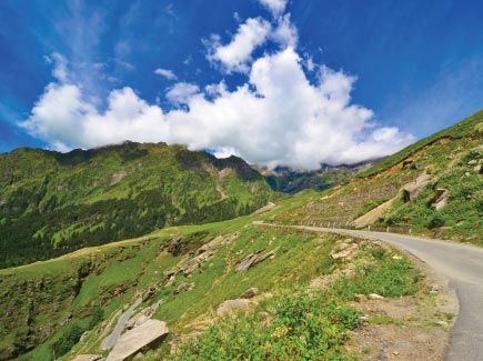 Best of Shimla Tour