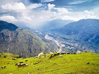 Women's Special Dalhousie Dharamshala Amritsar - Pune Tour