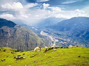 Women's Special Dalhousie Dharamshala Amritsar - Pune Tour