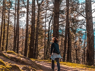 Women's Special Shimla Manali Tour