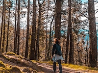 Women's Special Shimla Manali Thumbnail