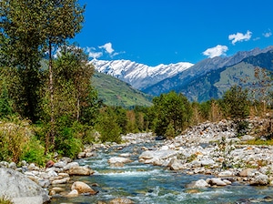 Seniors' Special Shimla Manali Tour