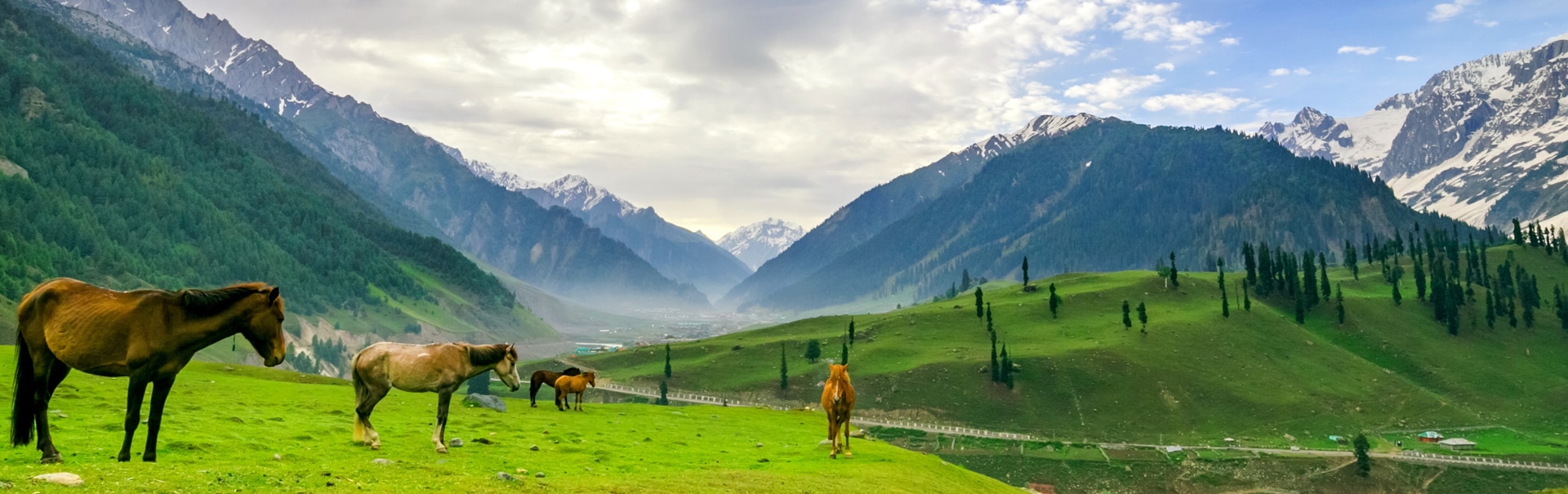 Women’s Special Kashmir - Ifly Pune (JKWB -(IP)) Banner
