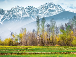 Women's Special Kashmir Tour