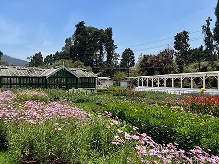 Ooty Coorg Mysore Chikmagalur Tour