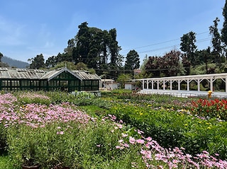 Ooty Coorg Mysore Chikmagalur Tour