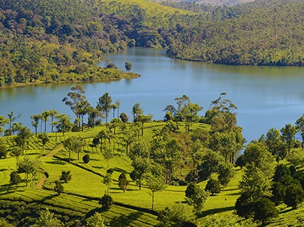 Best of Kerala Tour